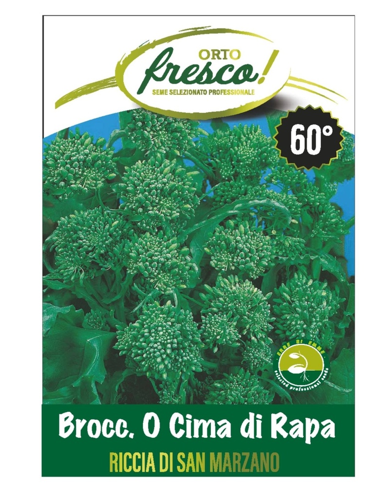 CIMA DI RAPA 60 RSM KG.1