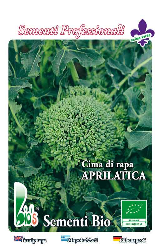 CIMA DI RAPA APRILATICA GR.500