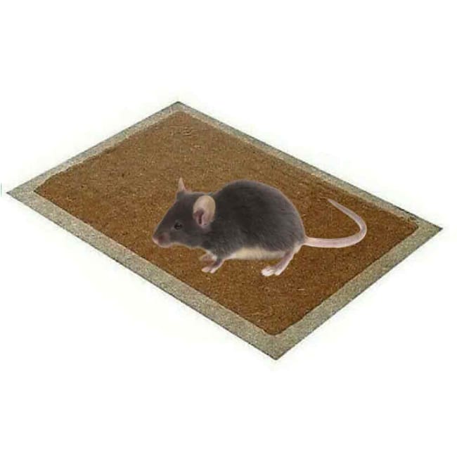 TRAPPOLA PER TOPI  TAVOLETTA 19X28CM