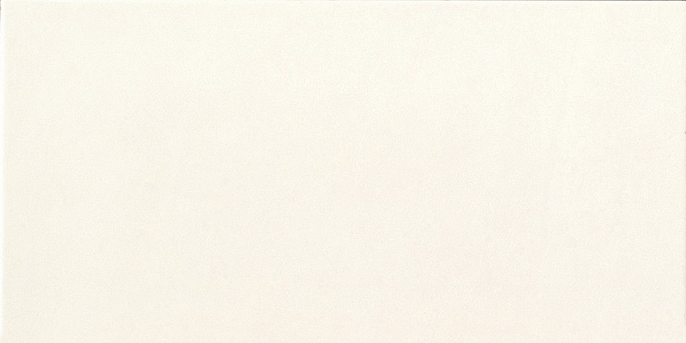 LA FENICE - SPIRIT BIANCO 20X40