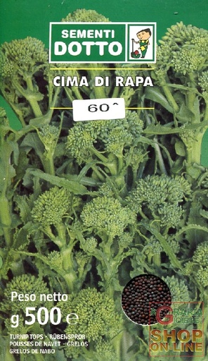 [CVB60] CIMA DI RAPA 60 RSM GR.500
