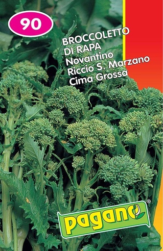 [CVB900] CIMA DI RAPA 90 RSM KG.1