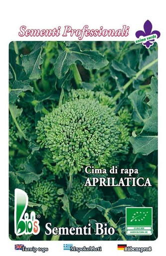 [CVBAP500] CIMA DI RAPA APRILATICA GR.500