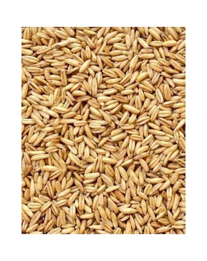 [AVR2023] AVENA NAZIONALE 30KG /MANGIME SEMPLICE LOTTO AVR2023