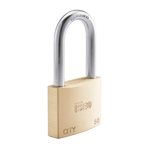 [302354] LUCCHETTO RETTANGOLARE A/LUNGO MM.50