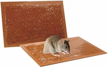 [4514902] TAVOLETTE ADESIVE PER TOPI 18X28 - CF.2PZ